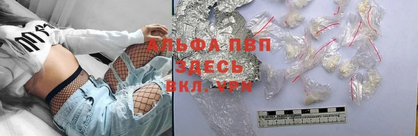 PSILOCYBIN Медвежьегорск