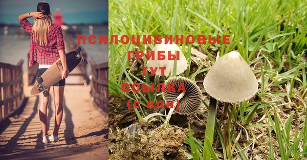 трава Медногорск