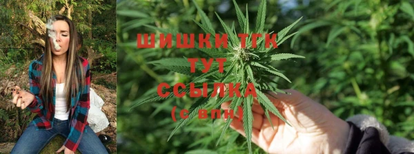 PSILOCYBIN Медвежьегорск