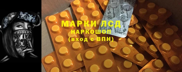 PSILOCYBIN Медвежьегорск